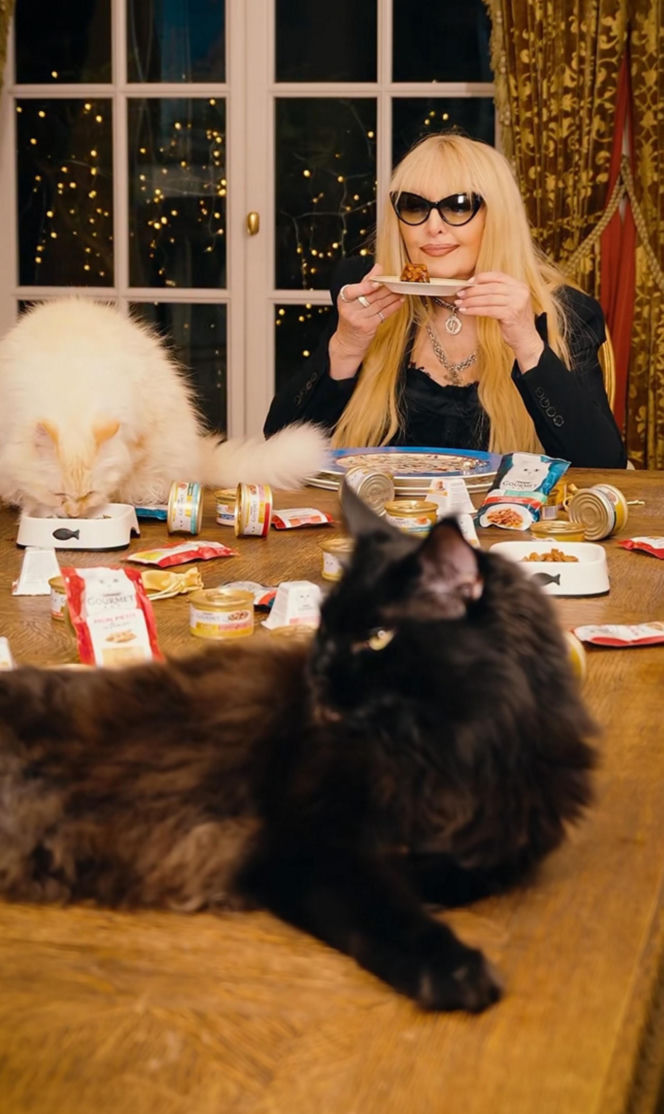 Maryla Rodowicz - koty nie przejedzą emerytury gwiazdy