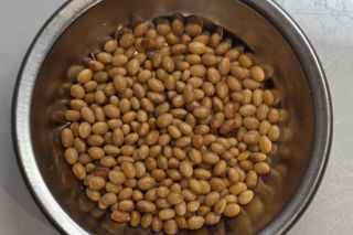 Kosmiczne nasiona z Maciejowa zmieniły się