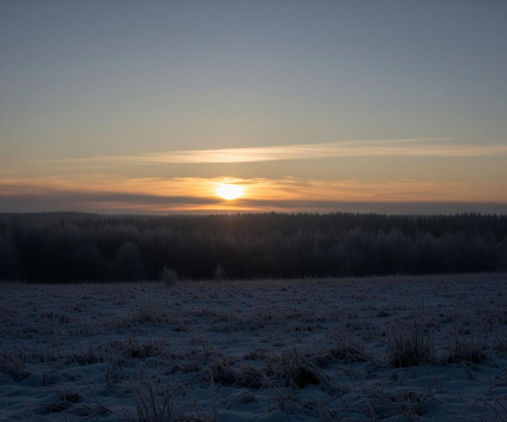 Głównym elementem obrazu jest wschodzące słońce, znajdujące się nisko nad horyzontem, widoczne jako intensywnie żółto-pomarańczowa, jasna kula. Nad horyzontem niebo przybiera barwy pomarańczowo-różowe, przechodzące w błękit i szarość w górnej części kadru, z widocznymi poziomymi, cienkimi smugami chmur. Poniżej słońca rozciąga się ciemna linia gęstego lasu, którego drzewa pokryte są szronem. Na pierwszym planie widoczne jest zaśnieżone pole z wystającymi z niego, również pokrytymi szronem, suchymi trawami i krzewami.