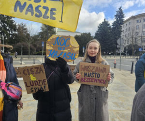 Społecznicy walczą o fotoradary akustyczne