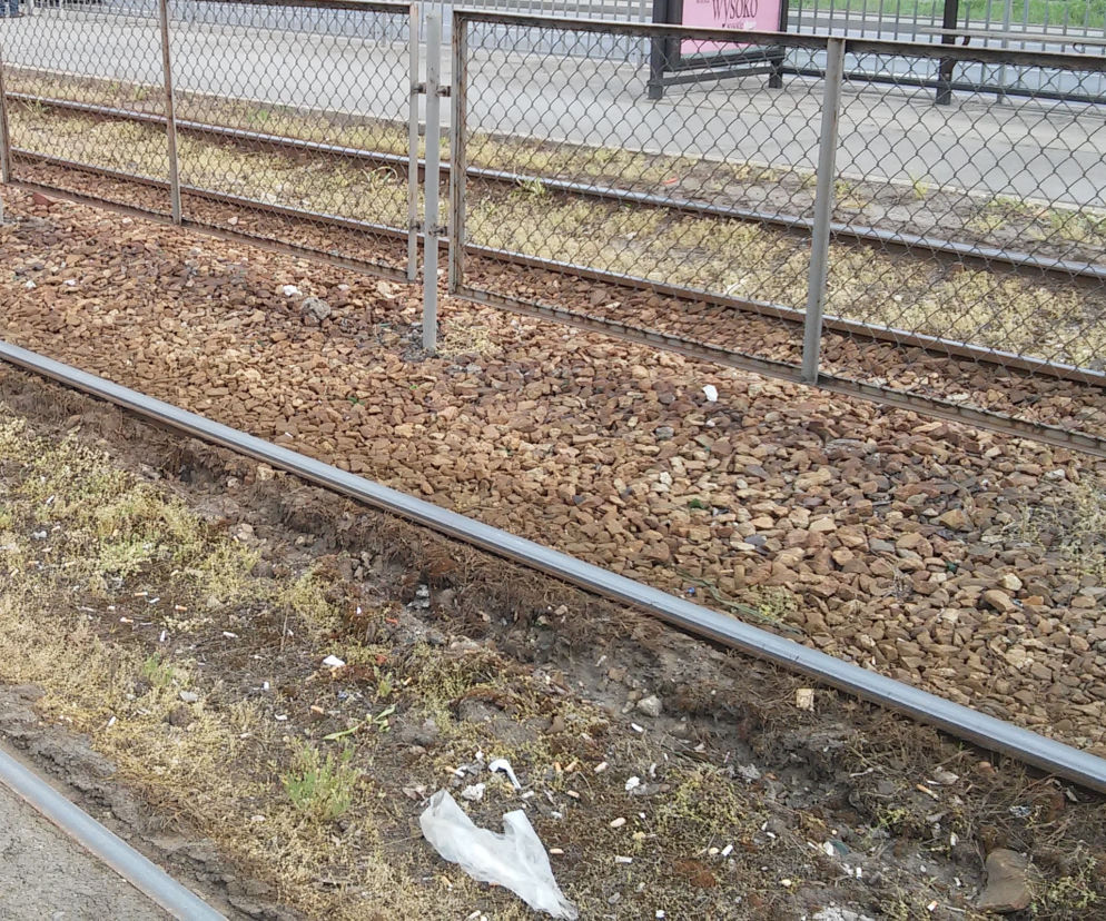 Pijany PIS-owski prezes spółki KGHM wjechał służbową limuzyną na torowisko we Wrocławiu i zasnął!