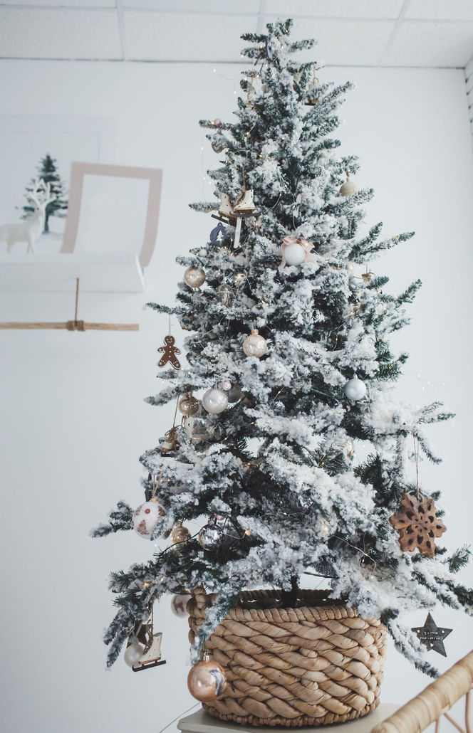 Świąteczne choinki w bieli