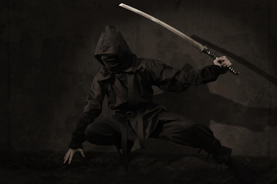 Dzień Ninja