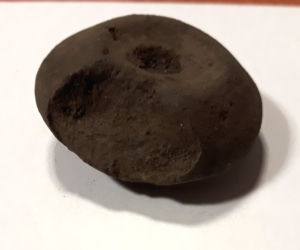 Prowadził nielegalne wykopaliska archeologiczne [ZDJĘCIA]