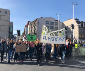 Strajk klimatyczny 