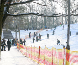 To najlepsza zimowa, darmowa atrakcja w Katowicach. Tłumy na torze saneczkowym