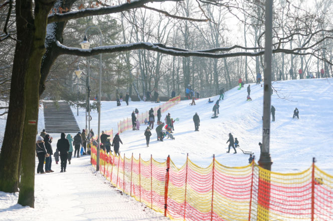 To najlepsza zimowa, darmowa atrakcja w Katowicach. Tłumy na torze saneczkowym