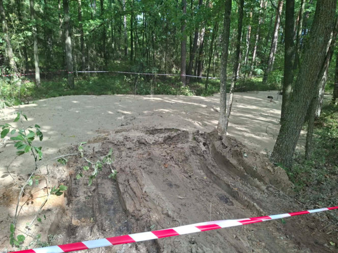 Tajemnicza maź zalała las pod Starachowicami. Policja i leśnicy badają sprawę