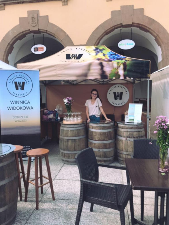 Winnica widokowa w Komborni