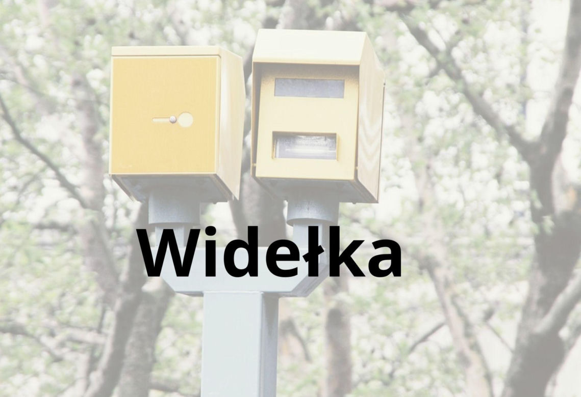 4. 1 558 wykroczeń