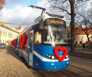 Specjalny tramwaj i... walka o budki lęgowe czyli krakowianie świętowali walentynki