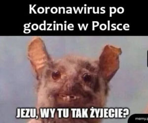 Koronawirus dotarł do Polski. Jest pierwszy przypadek. Zobacz najlepsze memy