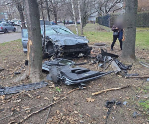 Wjechał na trawnik i uderzył w drzewo. Szokujący powód