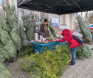„Choinka dla życia” w Tarnowie. Leśnicy podziękowali krwiodawcom