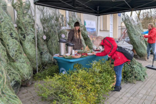 „Choinka dla życia” w Tarnowie. Leśnicy podziękowali krwiodawcom