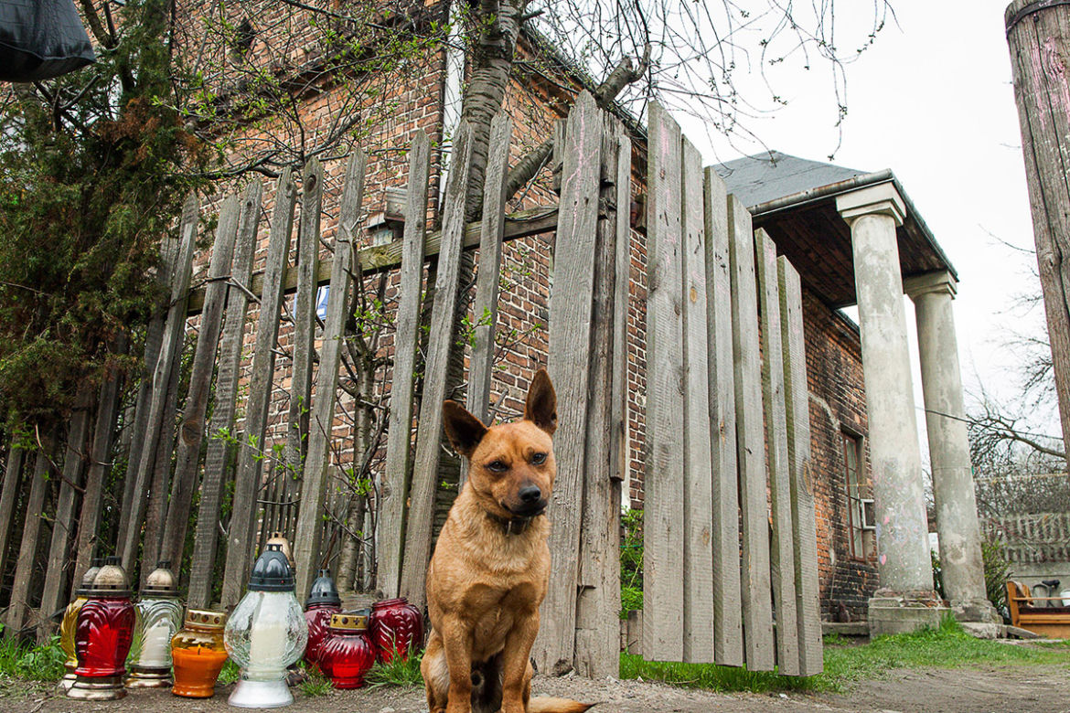 WOŁOMIN: WYMORDOWAŁ RODZINĘ PO IMPREZIE 
