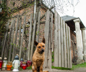 WOŁOMIN: WYMORDOWAŁ RODZINĘ PO IMPREZIE 