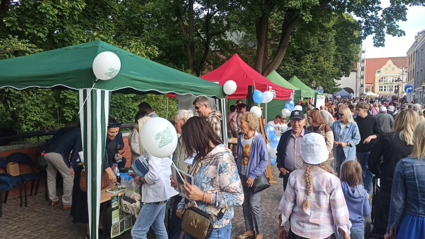 Tłumy na Starym Mieście w Olsztynie. Mieszkańcy świętowali 25-lecie samorządu Warmii i Mazur [ZDJĘCIA]