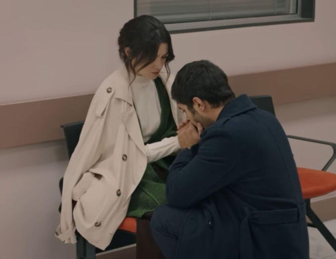 Barwy szczęścia odc. 348