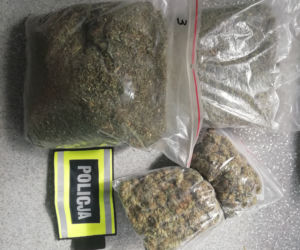 Łódzkie: Miały rosnąć pomidory, rosła MARIHUANA! 63-latek miał FABRYKĘ narkotyków 