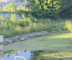 Bardzo niski stan Wisły w Fordonie w Bydgoszczy. Do rekordu brakuje kilkunastu centymetrów