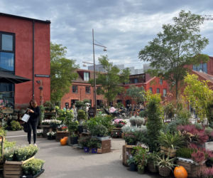 Nordhavn, wzorcowa dzielnica Kopenhagi