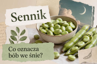 Bób we śnie - co oznacza? Znaczenie snu i najczęstsze interpretacje