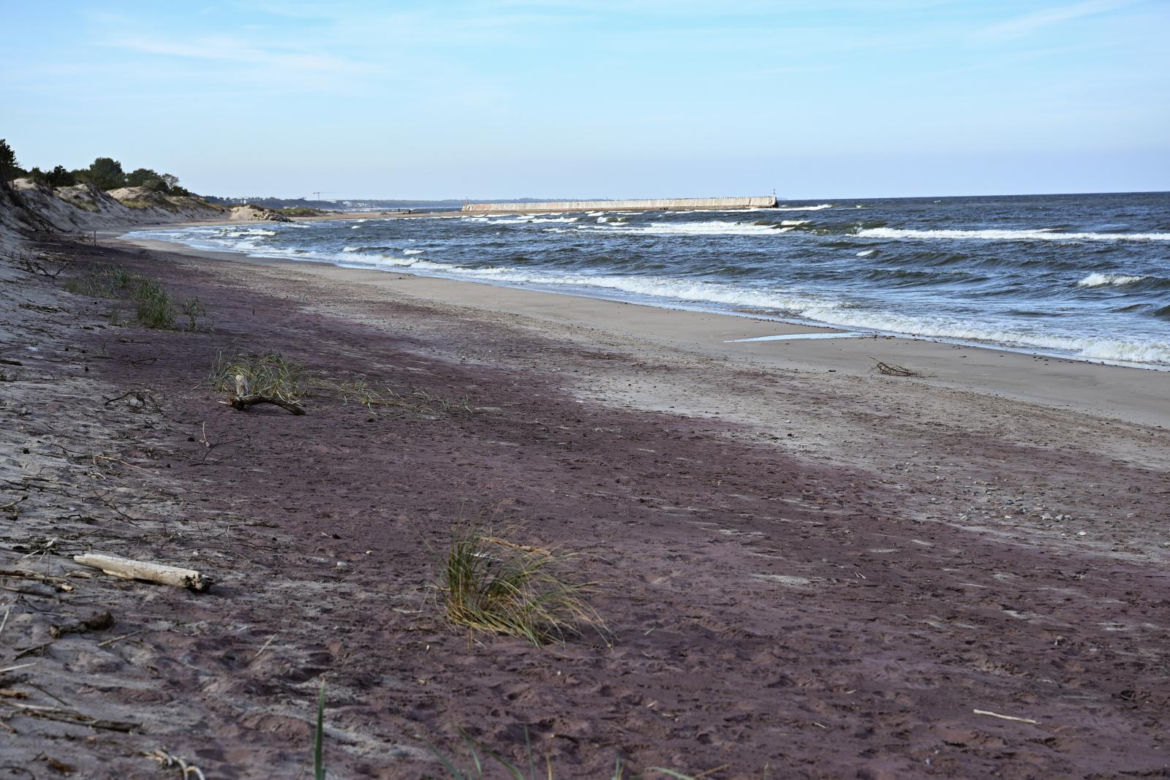 Fioletowy piasek nad Bałtykiem