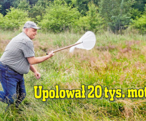 Upolował 20 tys. motyli!