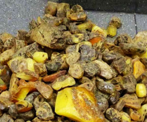 Udaremniono przemyt prawie 26 kg bursztynu