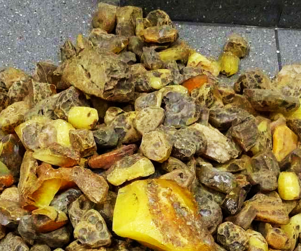 Udaremniono przemyt prawie 26 kg bursztynu