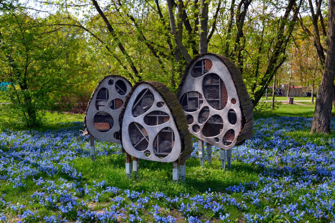Warszawa miała lotnisko w samym centrum miasta. Dzisiaj jest tam wielki park!