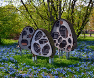 Warszawa miała lotnisko w samym centrum miasta. Dzisiaj jest tam wielki park!