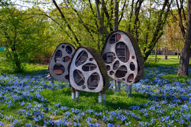 Warszawa miała lotnisko w samym centrum miasta. Dzisiaj jest tam wielki park!