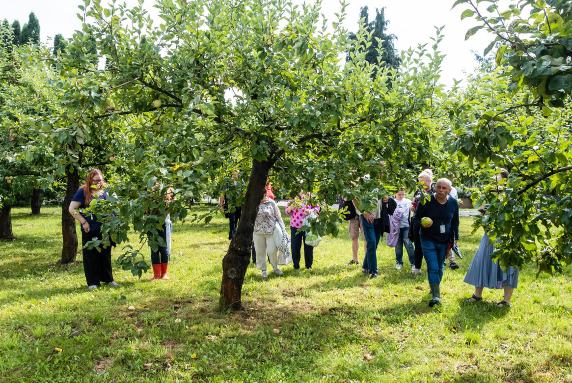Ogród Botaniczny PAN w Powsinie