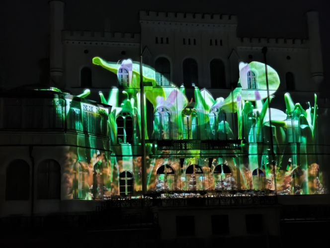 Festiwal Światła Rokosowo