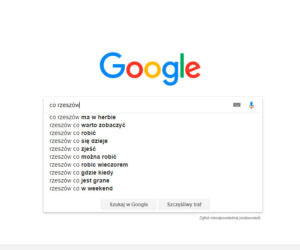 Rzeszów w Google