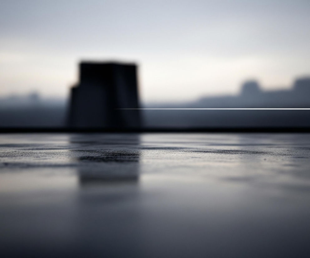 Na pierwszym planie widoczna jest mokra, ciemna powierzchnia, prawdopodobnie podłoga lub dach, odbijająca światło i niewyraźne kształty. Odbicia na tej powierzchni tworzą wydłużone, blade smugi światła i cienia. Na dalszym planie znajdują się rozmyte sylwetki budynków o ciemnych, nieregularnych kształtach, z których jeden jest wyraźniej zarysowany w centrum. Horyzont jest rozjaśniony, przechodząc w jaśniejsze odcienie szarości i bieli, a niebo jest pochmurne i jednolite. Przez centrum obrazu, nad horyzontem, przebiega pozioma, cienka linia światła.