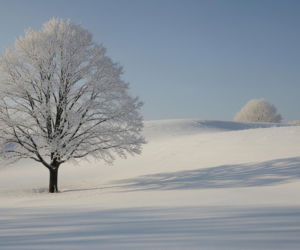 QUIZ. Przysłowia o lutym. My podajemy początek, wy musicie dokończyć