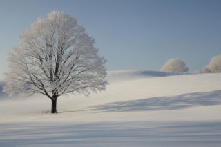 Mróz w Polsce. Zima pokaże brutalne oblicze tej nocy?