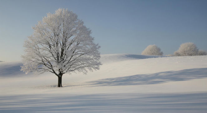 Mróz w Polsce. Zima pokaże brutalne oblicze tej nocy?