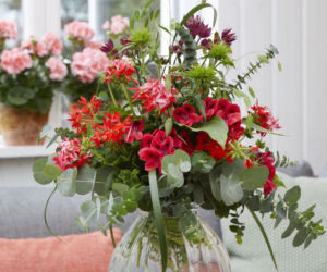 Bukiet z pelargoniami
