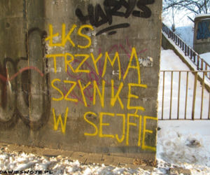 Napisy na łódzkich murach: Sztuka czy wandalizm? Ulica wie swoje...