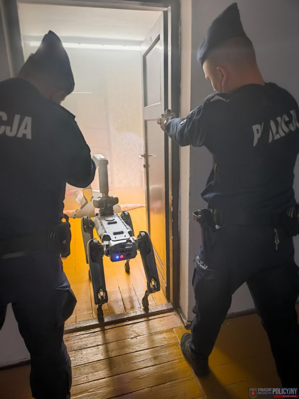 Ma cztery łapy, stalowe serce i właśnie podał łapę policjantowi. „Robopies” nowym hitem w służbach