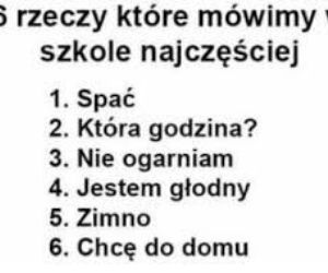 Szkoła memy