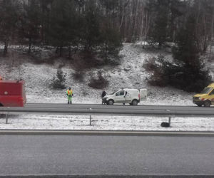 Ranny pies zamarzał na środku autostrady. Przez dwie godziny nie otrzymał żadnej pomocy [AUDIO, ZDJĘCIA]