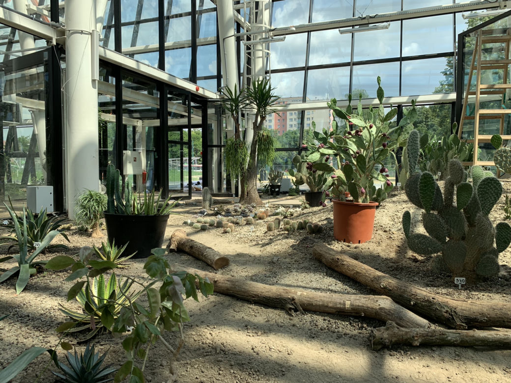 Budowa Egzotarium w Sosnowcu niemal na finiszu. Zobacz, jak wygląda "wizytówka" Sosnowca od środka