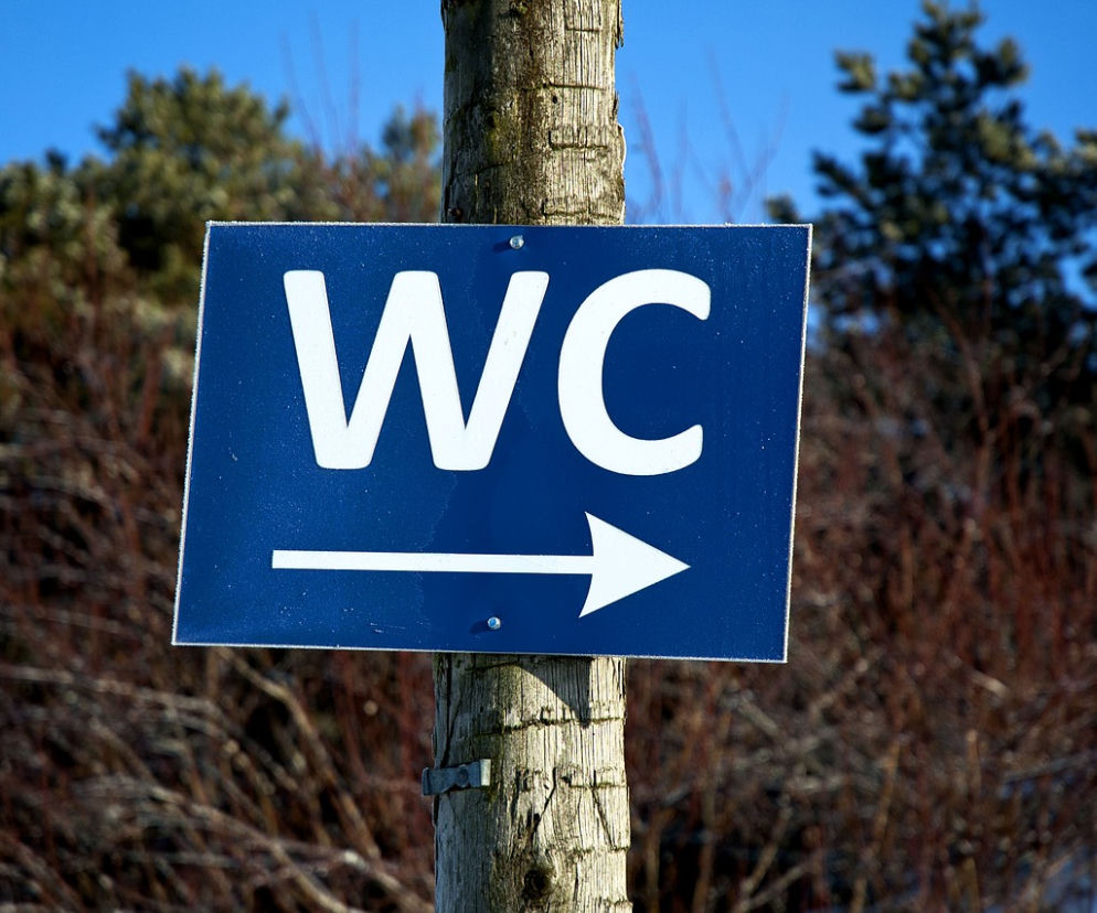 Toalet w parkach będzie więcej niż rok temu, ale będą przywożone do parków tylko na weekendy