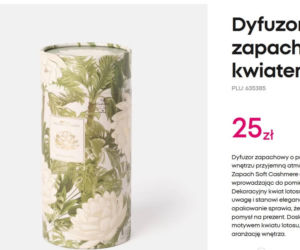 Nowa kolekcja Pepco inspirowana hitowym serialem HBO to prawdziwy hit! Stylowe akcesoria do domu kupisz dosłownie za grosze