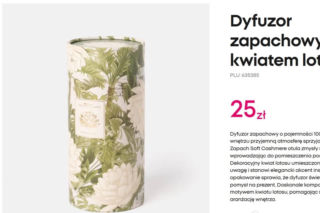 Nowa kolekcja Pepco inspirowana hitowym serialem HBO to prawdziwy hit! Stylowe akcesoria do domu kupisz dosłownie za grosze